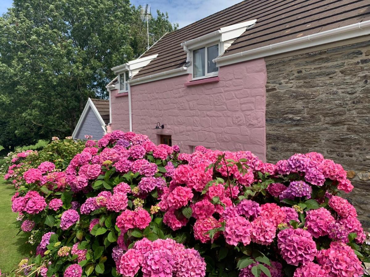 Canllefaes Cottages كارديغين المظهر الخارجي الصورة